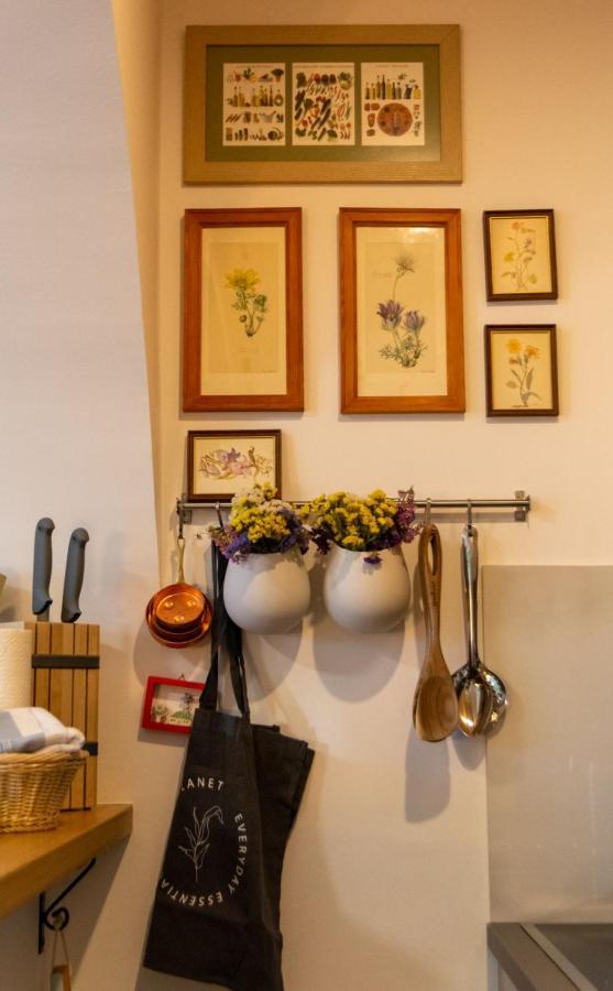 Artloft Lägenhet Novi Sad Exteriör bild